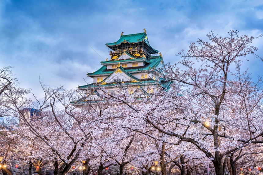 地标旅行日本大阪樱花和城堡桃图片