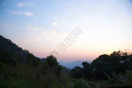 明亮的夜前山丘风景天空微小阴云当地的浓密图片