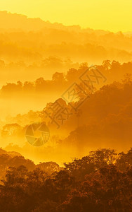 淖公园松弛幸福清晨雾中山岳的风景松软清晨雾覆盖树林和山在泰国假日度旅游概念的南直烟雾中山地灰色层背景