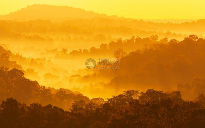 清晨雾中山岳的风景松软清晨雾覆盖树林和山在泰国假日度旅游概念的南直烟雾中山地灰色层平线语气柔软的图片