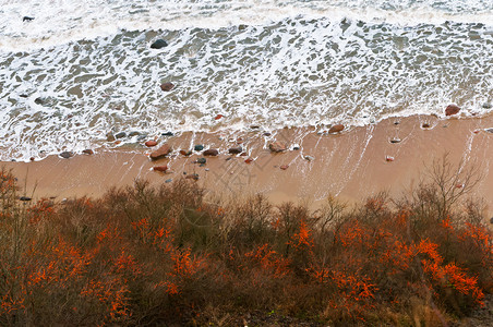 海边沙滩航拍风景图片