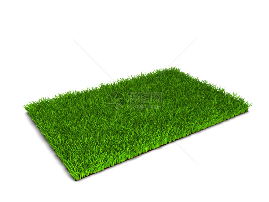 以白色背景孤立的绿草3d插图植物季节农场图片