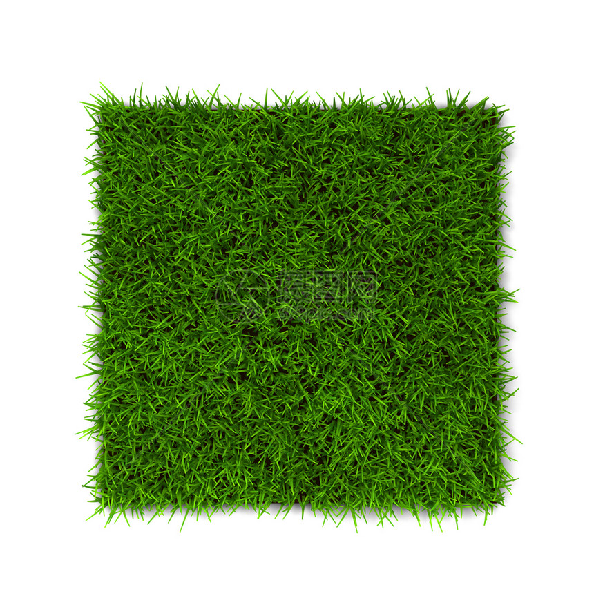 天以白色背景孤立的绿草3d插图院子天图片