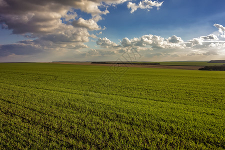 在田野和白日天空中青春小麦的美丽景色与乌云阳光农田牧场图片