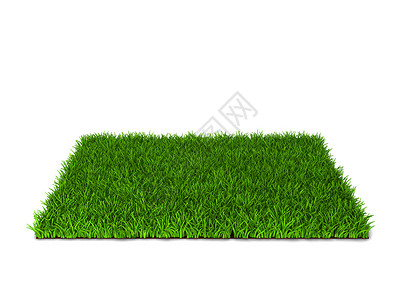 植物干净的园艺以白色背景孤立的绿草3d插图图片
