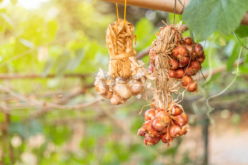 叶子红色的香料竹上挂着大蒜和洋葱是泰国传统的厨房风格图片