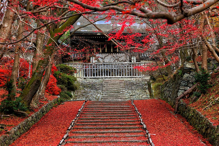 红色枫叶中的古建筑图片