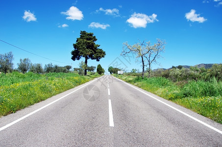 Alentejo公路景观方向清楚的蓝色图片