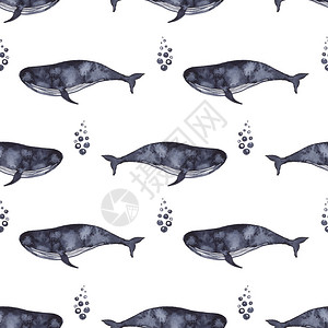 可爱的贝壳鲸鱼在靛蓝彩绘水艺术画海鱼蓝色洋动物无缝图案织纺品背景装饰孩子插图夏季元素设计的鲸鱼在靛蓝彩绘水艺术画海鱼蓝色洋动物无背景图片