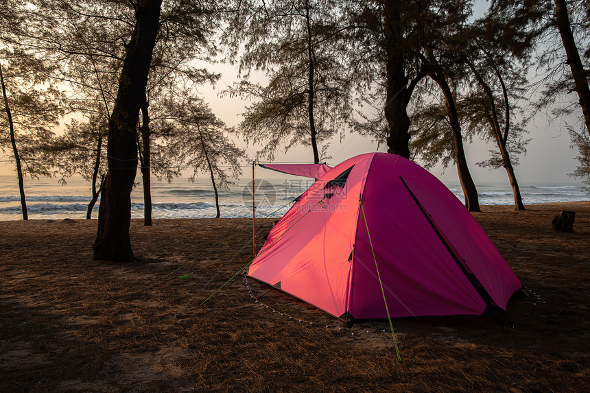 森林中的粉色露营帐篷图片