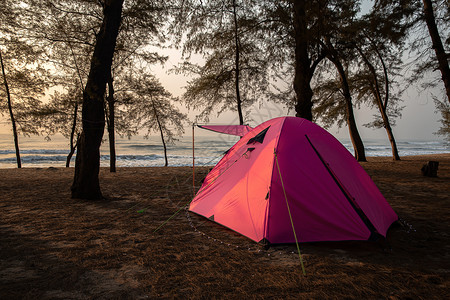 粉色帐篷森林中的粉色露营帐篷背景