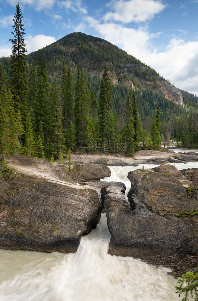 顶峰首脑在加拿大不列颠哥伦比亚省Yoho公园的一条河流长期图像生态系统图片