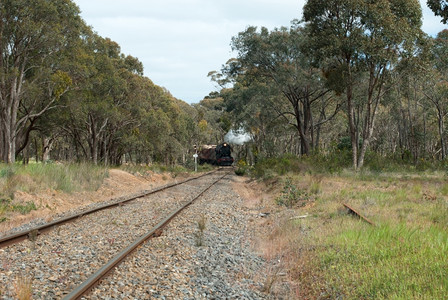 车轮追踪澳大利亚维多州戈德菲尔铁路上的蒸汽列车位于澳大利亚维多州图片