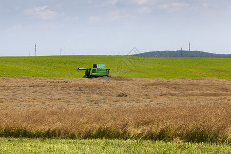 农田技术土地采收黄干籽的农业收割庄获器被用于工业中收割籽图片