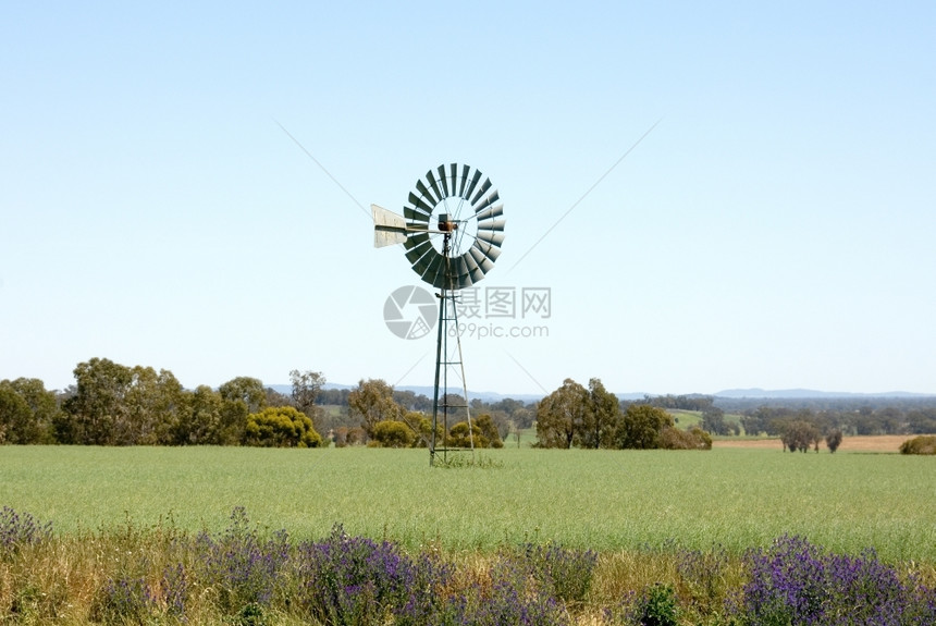 澳大利亚新南威尔士州Young附近的一个农场风车天空明尼斯图片