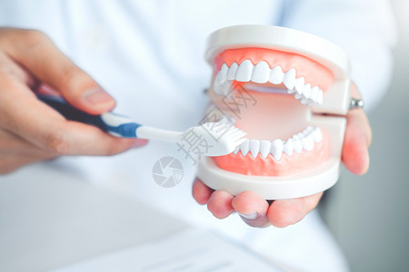 牙科医生示范如何刷牙图片