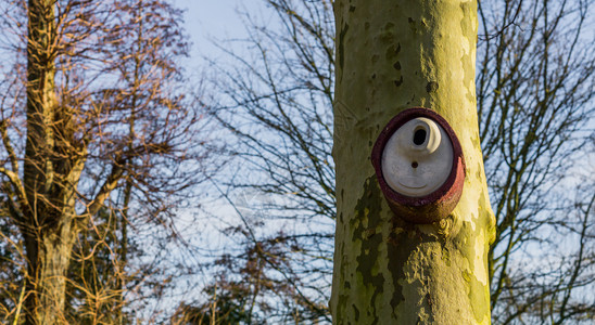 现代陶瓷鸟屋挂在树干上花园装饰品季节巢鸟图片