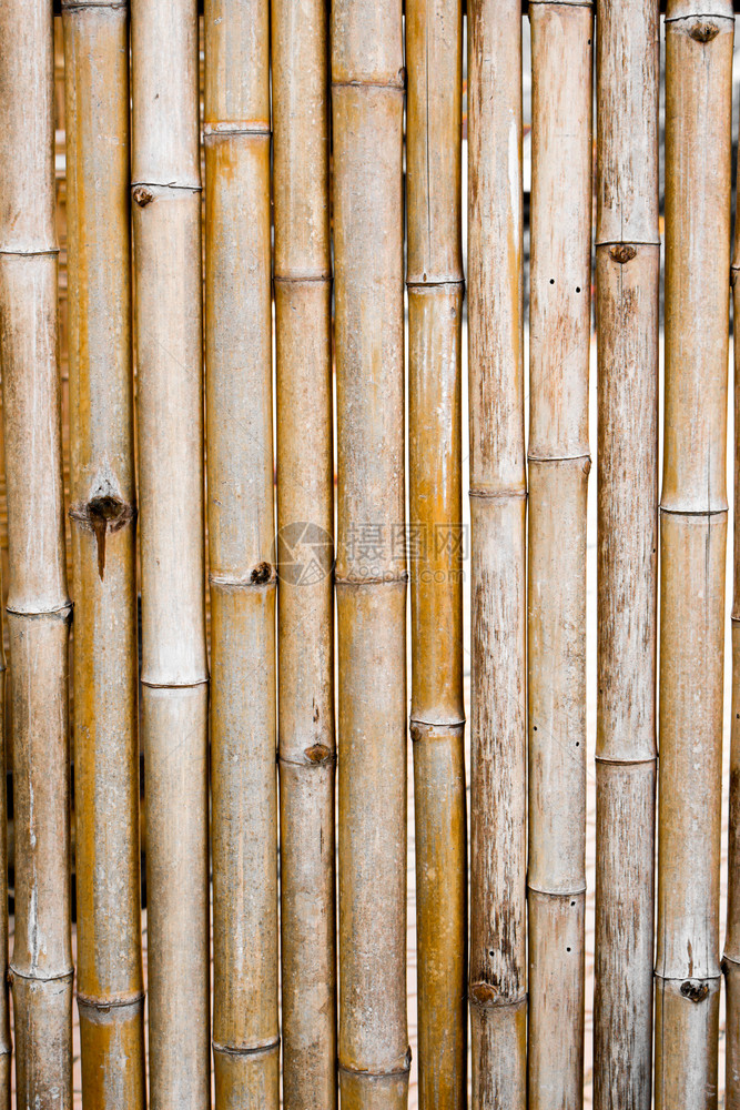 A旧竹栅栏线的背景和格局树枝黑色的分支图片