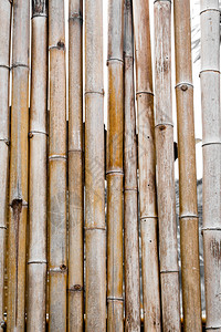 棕色的A旧竹栅栏线的背景和格局分支抽象的图片