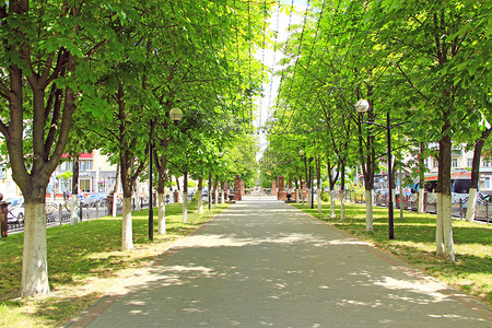 戈梅利阴影游客白俄罗斯Gomel市Gomel街道上布有长凳树和挂吊花环的长板树和挂着吊带衣架的人在公园中休息时用长椅停靠在夏日美丽的城背景