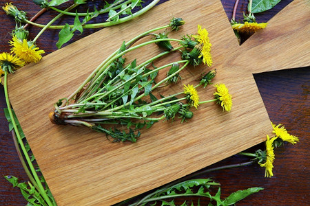 黄色杂草草本植物准备好木桌上有根花和叶的新鲜全蒲公英植物为茶草药概念替代物做好准备营养背景