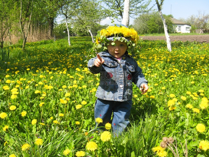 丰富多彩的春天有蒲公英小美女米洛场地图片