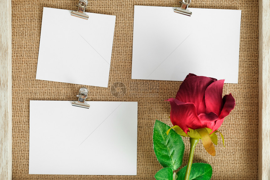 空白卡片和玫瑰花图片