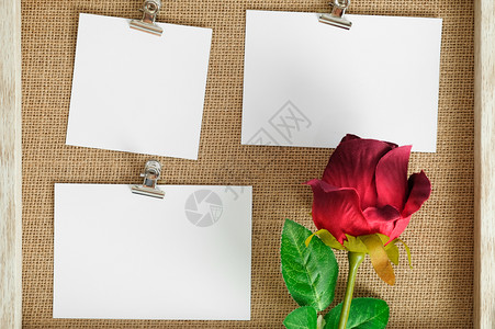 空白卡片和玫瑰花图片