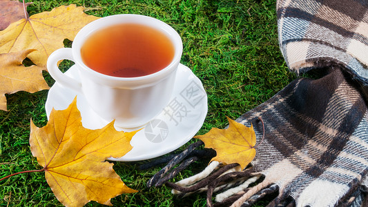 秋季热饮茶水红茶图片