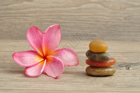 植物粉红色的弗朗吉帕尼花朵旁边有一堆平板石头夏威夷鸡蛋花图片