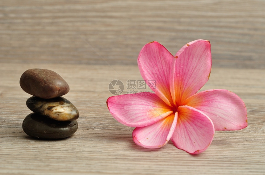 美丽粉红色的弗朗吉帕尼花朵旁边有一堆平板石头下个放松图片