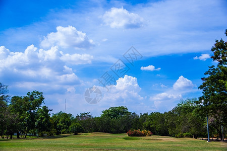 公园和明亮的天空清新绿草地在光明空气中环境夏天自然图片