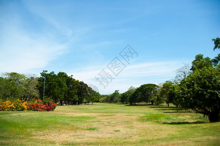 前途一片光明场地公园和明亮的天空清新绿草地在光明空气中花园蓝色的背景