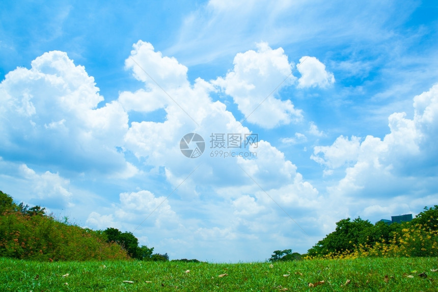 土地园景公和明亮的天空清新绿草地在光明空气中美丽图片