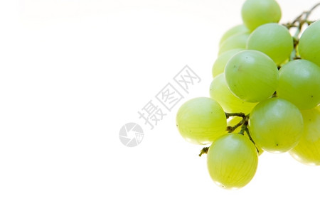 水果营养丰富一串绿葡萄活力图片