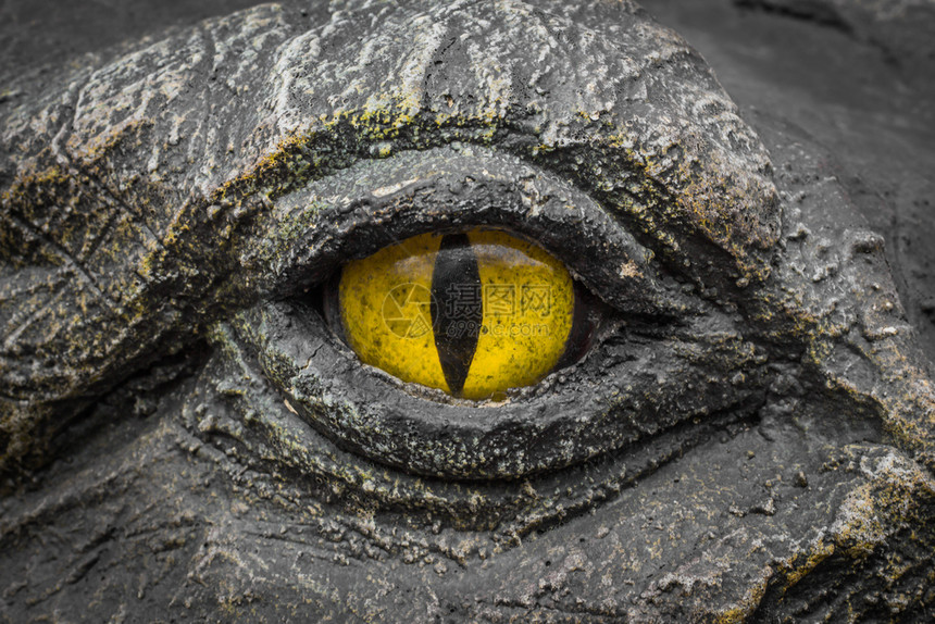 鳄鱼用黄色的双眼凝视着恶魔的眼睛墙纸天恐惧图片