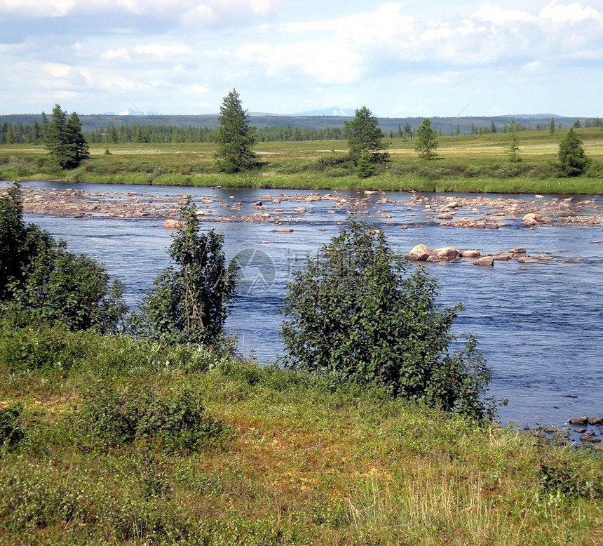 自然天俄罗斯北部针叶林的河流山区针叶林的质俄罗斯北部针叶林的河流山区针叶林的质娱乐图片