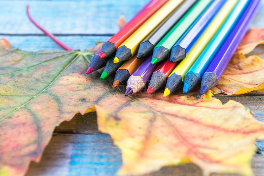 彩色铅笔和秋季落叶图片