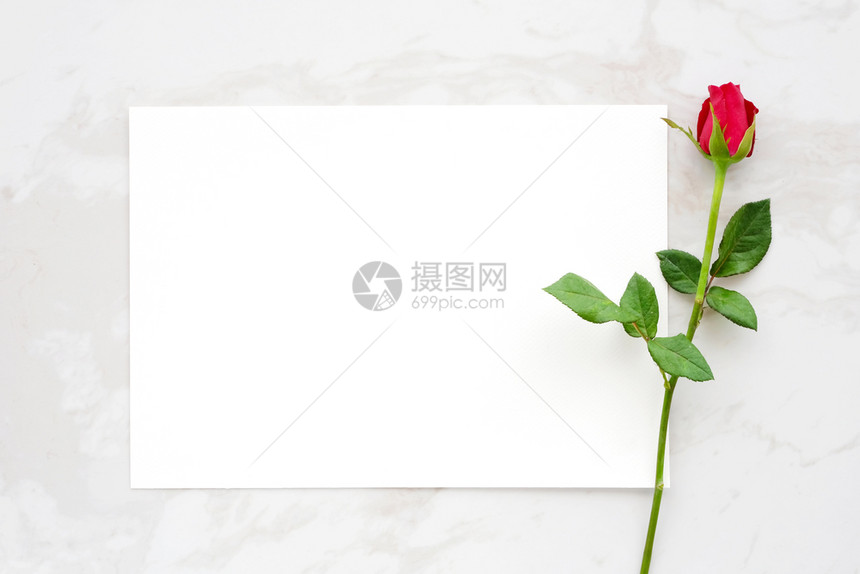 花框架情人日背景模板红玫瑰和白大理石背景皮书并有文本顶视图平面边界图片