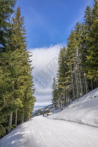 冬日雪景风光图片