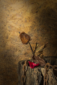 干燥花的华伦人节时静生代名玫瑰桌上图片