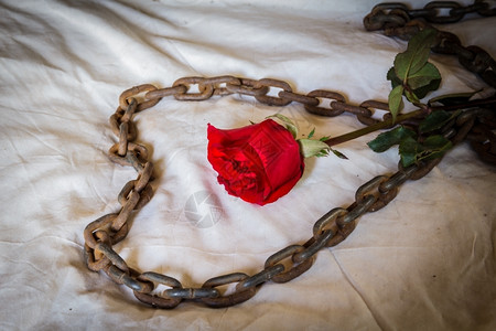 宣传册红色复制华伦人节时的静生代名玫瑰美丽的婚礼背景