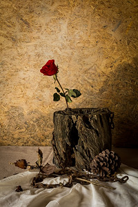 华伦人节时的静生代名玫瑰晒干假期木制的图片