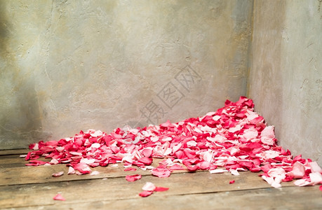青丽的玫瑰贝子瓷砖在TexturedRoom角地板弃具体的图片