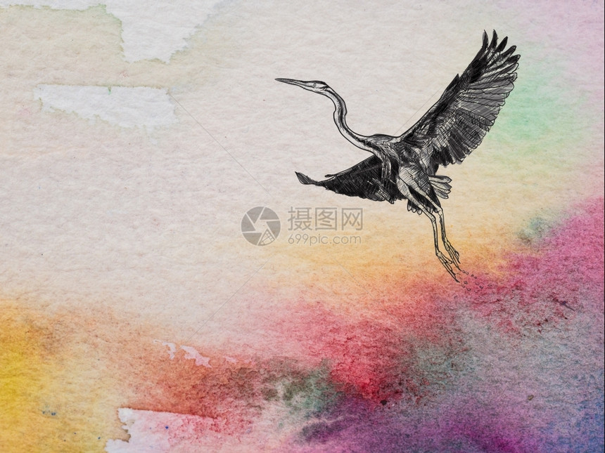纸上水彩色和纹理的更贴近颜色画着飞翔的紫羽毛鸟刷子橙质地图片