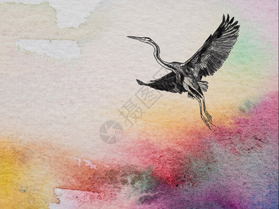 纸上水彩色和纹理的更贴近颜色画着飞翔的紫羽毛鸟刷子橙质地图片
