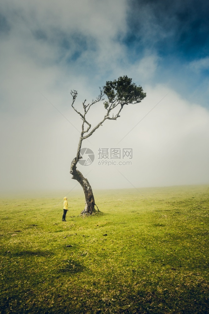 户外在古老的森林里旅行妇女感受到大自然的力量在古老森林里徒步旅行者神秘图片