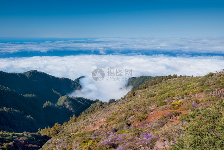 天空从西班牙加那利岛拉帕尔马顶端看望的云海风景优美热带图片