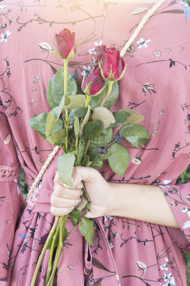 爱中的女人拿着红玫瑰在情人节的给男朋友惊喜花心快乐的图片