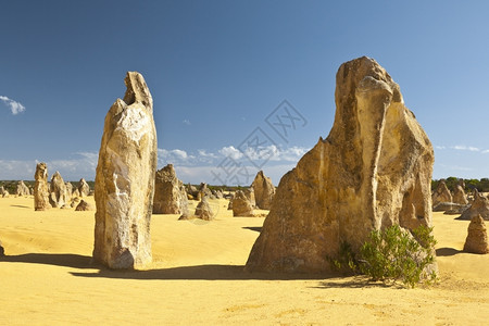干旱半球燥澳洲奇特的沙漠平塔图像图片